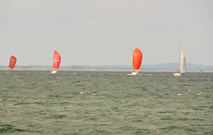 5d5ac1becc4f3_LARGE.jpg