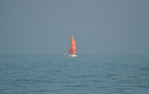 6811069004c46_DSC0064.JPG