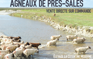 Régate La Cotentine