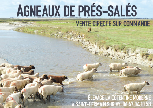 Régate La Cotentine